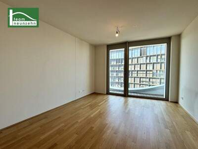 Terrassenwohnung mieten in 1100 Wien (Bild 1)