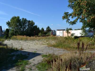 Grundstück kaufen in 2482 Münchendorf (Bild 4)