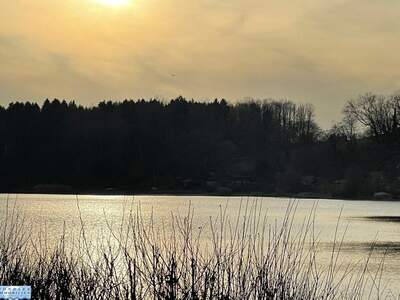 Haus kaufen in 5202 Neumarkt (Bild 2)