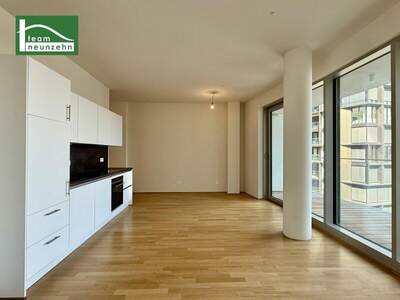 Terrassenwohnung mieten in 1100 Wien (Bild 1)