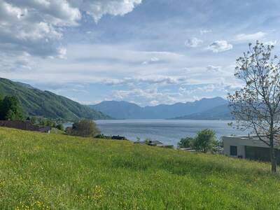 Grundstück kaufen in 4852 Weyregg (Bild 2)