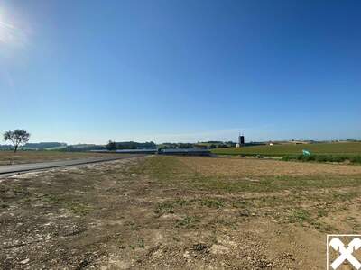 Gewerbeobjekt mieten in 4611 Buchkirchen (Bild 4)