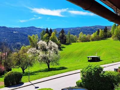 Haus kaufen in 8850 Murau