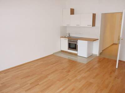 Altbauwohnung mieten in 1200 Wien (Bild 3)