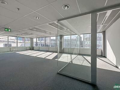 Gewerbeobjekt mieten in 1220 Wien (Bild 4)