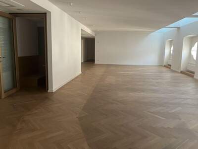 Gewerbeobjekt mieten in 1010 Wien (Bild 2)