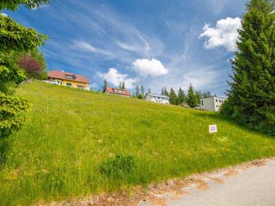 Grundstück kaufen in 9100 Völkermarkt (Bild 4)