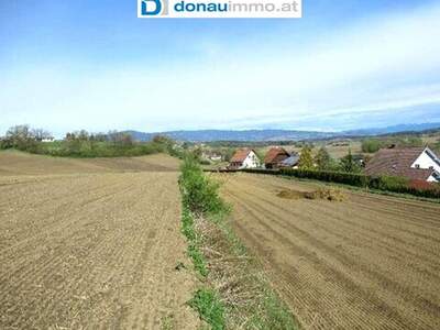 Grundstück kaufen in 8522 Groß Sankt Florian (Bild 4)
