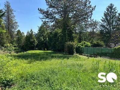 Grundstück kaufen in 1170 Wien