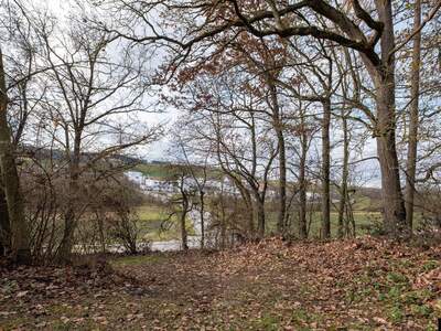 Grundstück kaufen in 4624 Pennewang (Bild 2)