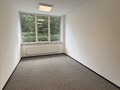 Gewerbeobjekt mieten in 8200 Gleisdorf (Bild 3)