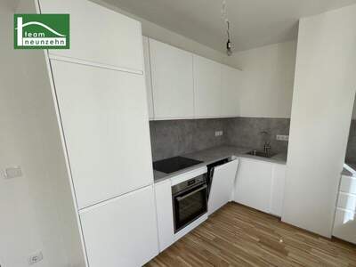 Terrassenwohnung mieten in 1230 Wien (Bild 5)