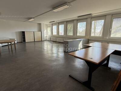 Gewerbeobjekt mieten in 2751 Steinabrückl (Bild 1)