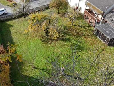 Haus kaufen in 4223 Katsdorf (Bild 4)