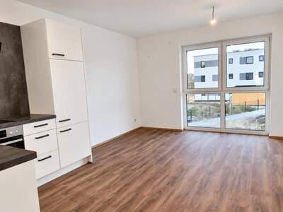 Wohnung mieten in 2136 Laa