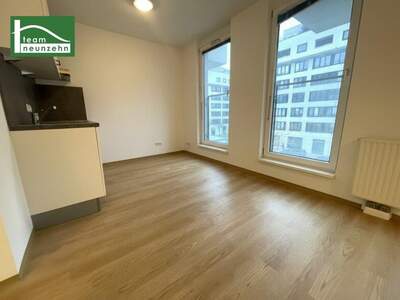 Mietwohnung in 1220 Wien (Bild 1)