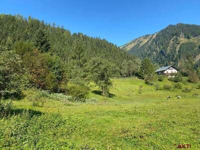 Grundstück kaufen in 8953 Donnersbachwald (Bild 2)