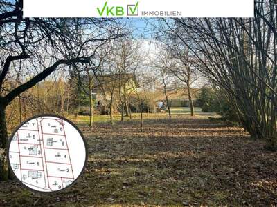 Grundstück kaufen in 4211 Spattendorf