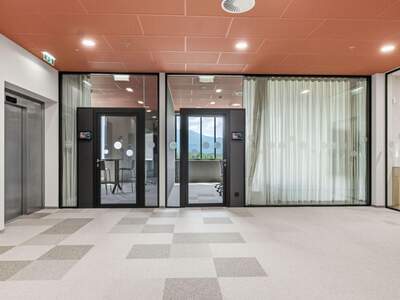 Gewerbeobjekt mieten in 6922 Wolfurt (Bild 4)