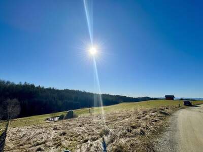 Grundstück kaufen in 8301 Laßnitzhöhe