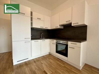 Terrassenwohnung mieten in 1220 Wien (Bild 4)