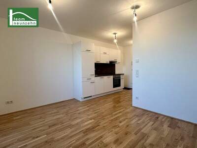 Terrassenwohnung mieten in 1220 Wien (Bild 3)