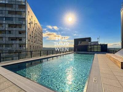Wohnung kaufen in 1100 Wien