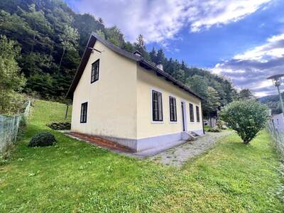 Einfamilienhaus kaufen in 3292 Gaming (Bild 5)