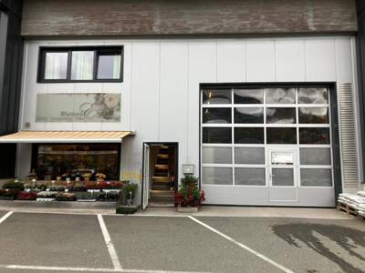 Gewerbeobjekt kaufen in 5400 Hallein