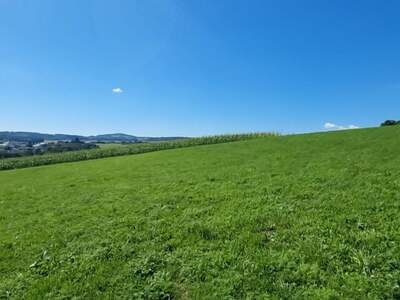 Gewerbeobjekt kaufen in 4223 Bodendorf (Bild 2)