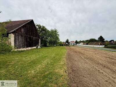 Grundstück kaufen in 7304 Großwarasdorf