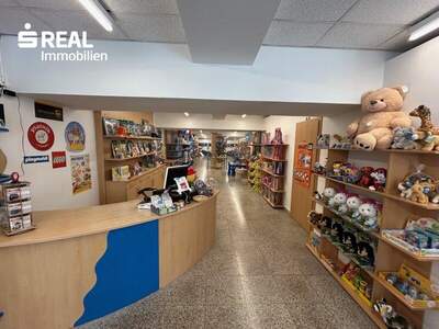 Wohnanlage kaufen in 3340 Waidhofen (Bild 2)