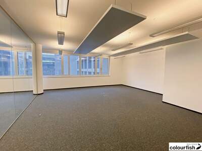 Gewerbeobjekt mieten in 1030 Wien (Bild 5)