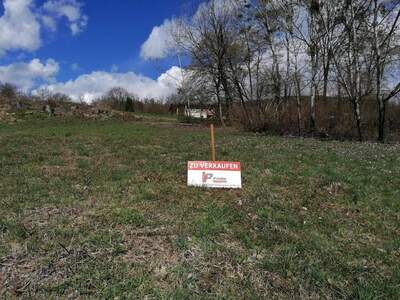 Grundstück kaufen in 9535 Schiefling