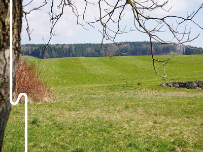 Grundstück kaufen in 5141 Moosdorf