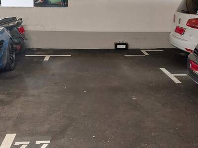 Halle / Lager / Produktion mieten in 1220 Wien (Bild 2)