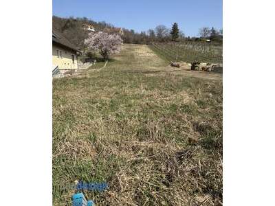 Grundstück kaufen in 2103 Langenzersdorf