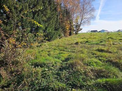 Grundstück kaufen in 5201 Seekirchen