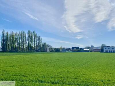 Grundstück kaufen in 2486 Pottendorf (Bild 1)