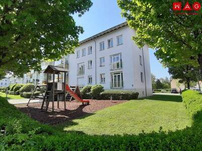 Wohnung mieten in 4400 Steyr (Bild 1)