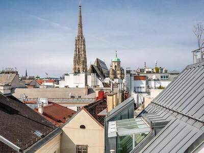 Wohnung kaufen in 1010 Wien