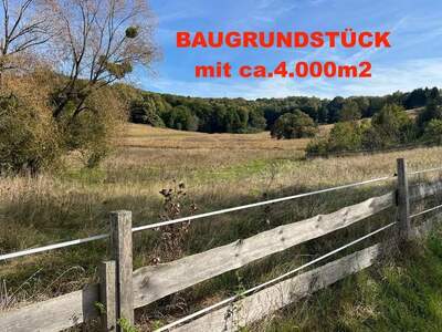 Grundstück kaufen in 7540 Neustift