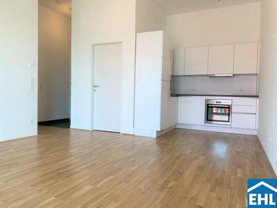 Terrassenwohnung mieten in 1030 Wien (Bild 3)