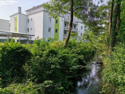 Terrassenwohnung mieten in 2442 Unterwaltersdorf (Bild 1)