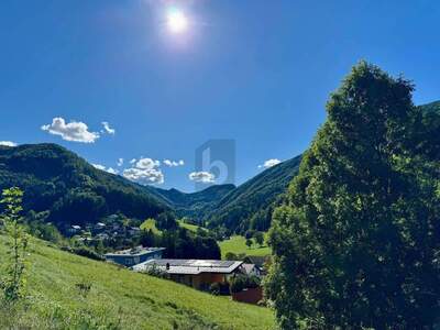 Grundstück kaufen in 3340 Waidhofen