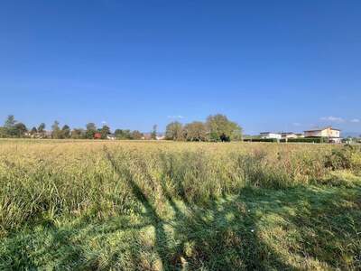 Grundstück kaufen in 7411 Markt Allhau (Bild 5)