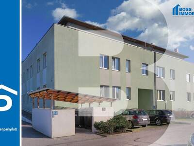 Immobilie mieten in 4050 Traun (Bild 1)