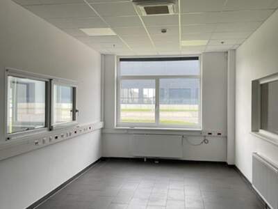 Gewerbeobjekt mieten in 2431 Enzersdorf (Bild 1)