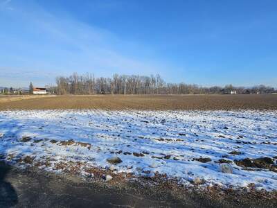 Gewerbeobjekt mieten in 9020 Klagenfurt (Bild 1)