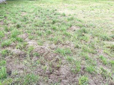 Anlageobjekt kaufen in 8077 Gössendorf